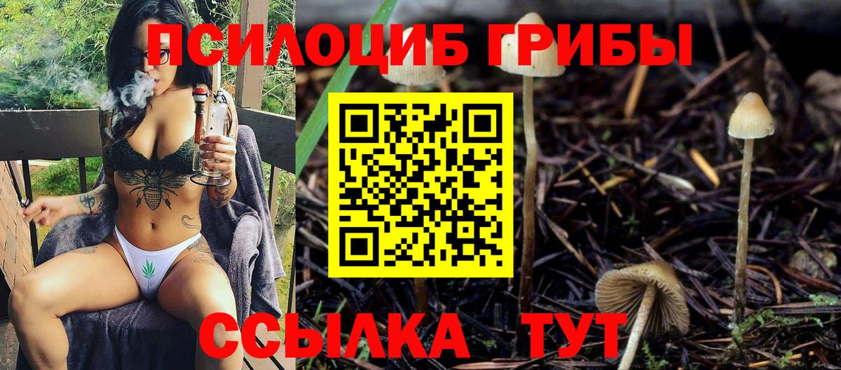 Псилоцибиновые грибы Psilocybine cubensis  Вход с VPN  Похвистнево  Галлюциногенные грибы прущие грибы 