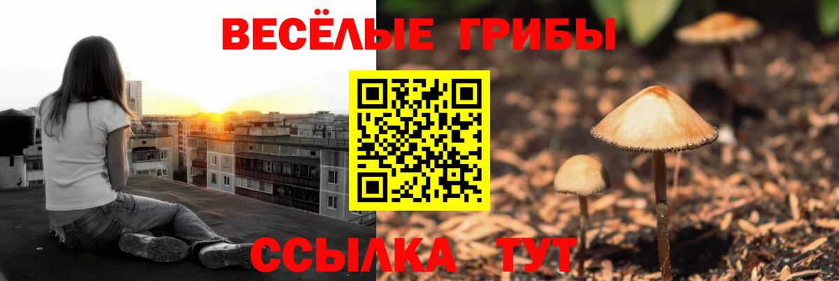Псилоцибиновые грибы мицелий Похвистнево